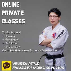 online private classes hankido